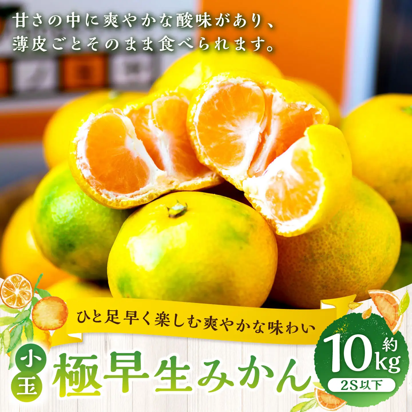【 ひと足早く楽しむ爽やかな味わい 】 極早生みかん （ 小玉 ） 約10kg  みかん ミカン 柑橘 柑橘系 柑橘類 くだもの 果物 フルーツ 果実 果汁 果肉 国産 愛媛県産 薄皮 【 2026年9月下旬-11月上旬発送予定 】 ( 1100 )