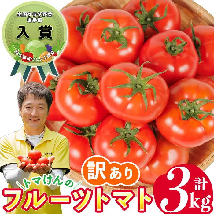 ＼全国サラダ野菜選手権 入賞 ／ 訳あり トマけんのフルーツトマト(計3kg)  【TK-03】【トマけん農園】