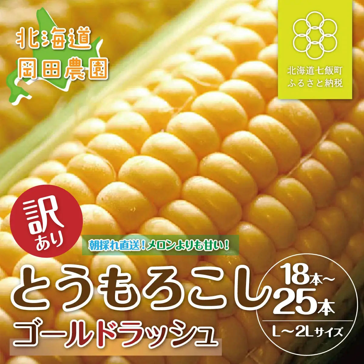 【先行予約】 訳あり 北海道七飯町産 とうもろこし 「朝採れゴールドラッシュ」18～25本（L～2L） NAZ029 | とうもろこし