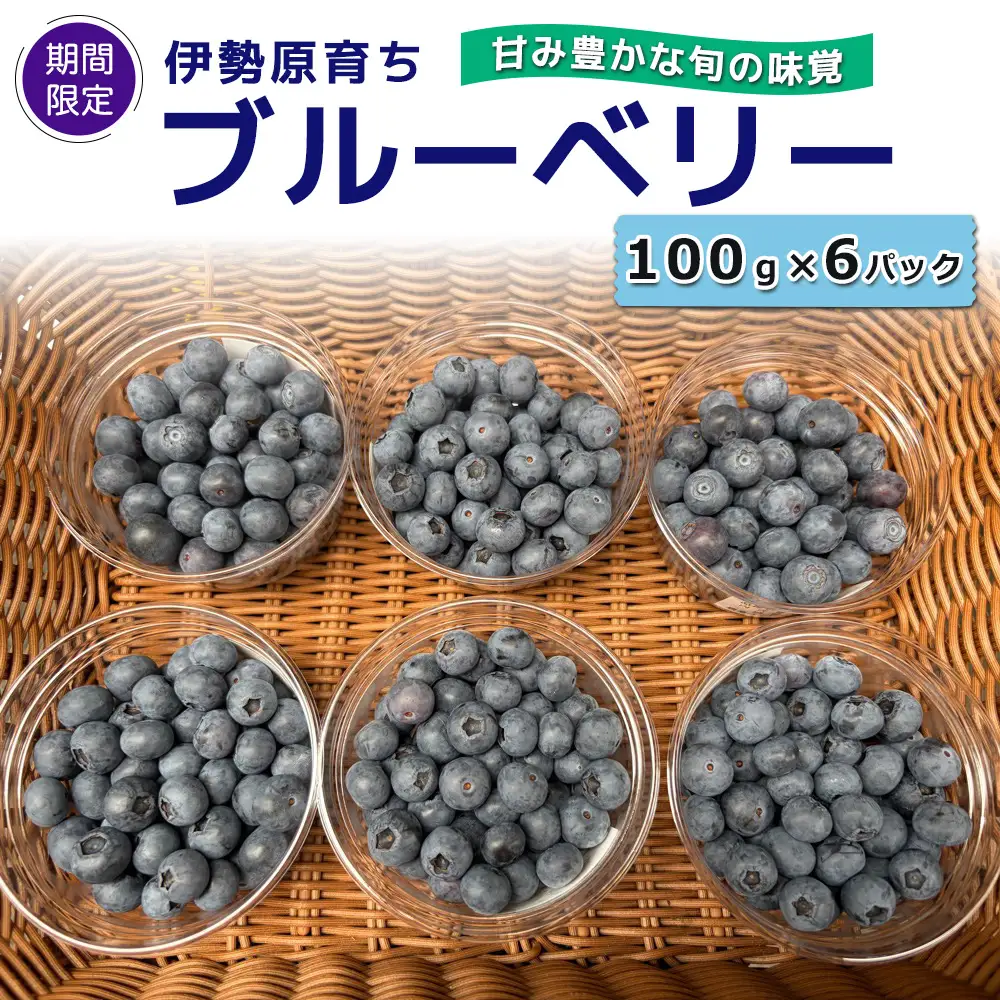 [期間限定] 伊勢原育ち 農薬不使用ブルーベリー 100g×6パック《甘み豊かな旬の味覚》[1183]