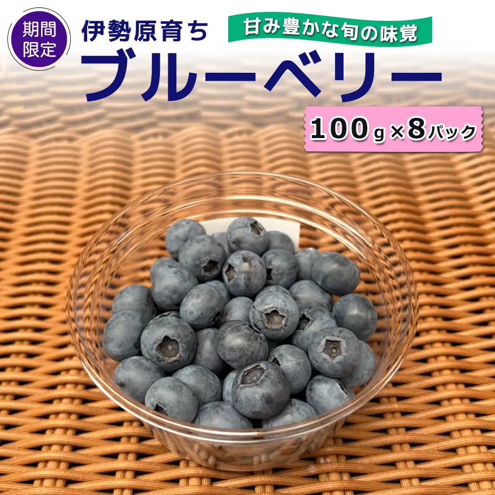 [期間限定] 伊勢原育ち 農薬不使用ブルーベリー 100g×8パック《甘み豊かな旬の味覚》[1184]