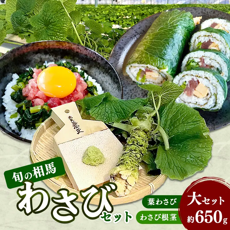 旬の相馬 相馬わさびセット 大セット約650g 　  薬味 野菜 食品 FAI-0035