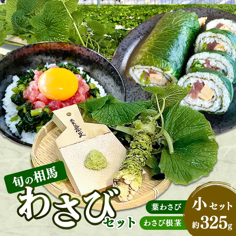 旬の相馬 相馬わさび 小セット 約325g  薬味 野菜 食品 FAI-0039