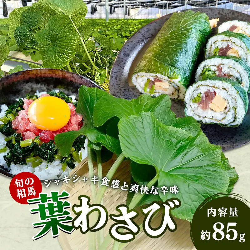 旬の相馬 葉わさび 約85g  薬味 野菜 食品 FAI-0042