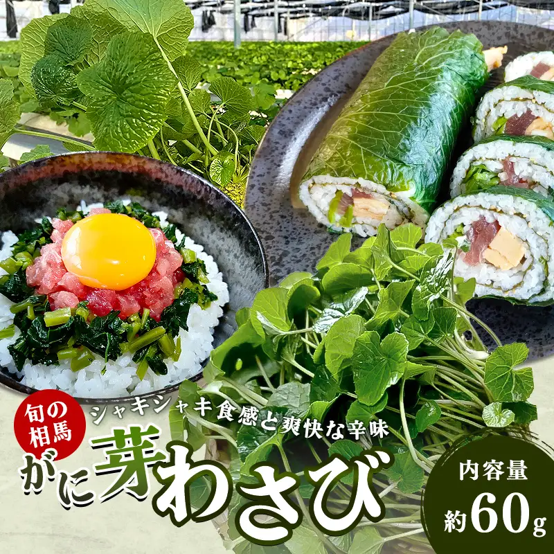 旬の相馬 がに芽わさび 約60g  薬味 野菜 食品 FAI-0044