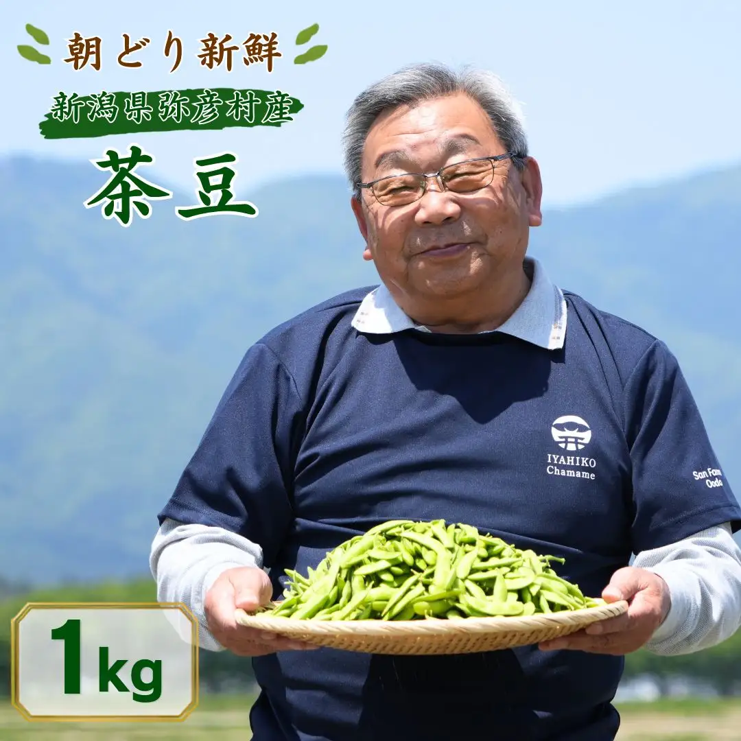【先行予約】 枝豆 茶豆 1kg | 朝どり新鮮 新潟県 弥彦村