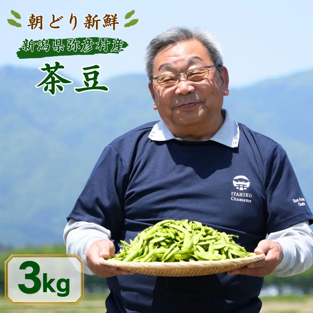 【先行予約】 枝豆 茶豆 3kg | 朝どり新鮮 新潟県 弥彦村