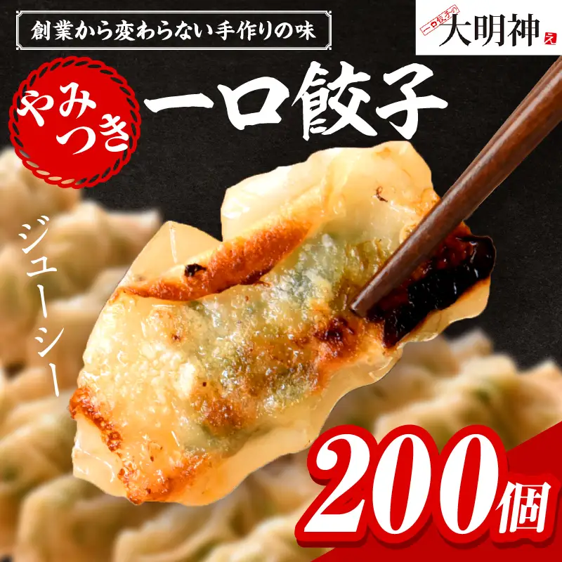 一口餃子 200 個入りタレ４個_kn107-003