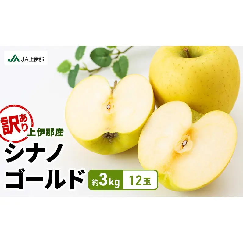 訳あり りんご 長野 リンゴ シナノゴールド 約3kg （12玉） 産地直送  フルーツ 果物 デザート おやつ 林檎 旬 信州 長野県 長野県産 駒ヶ根市 上伊那産