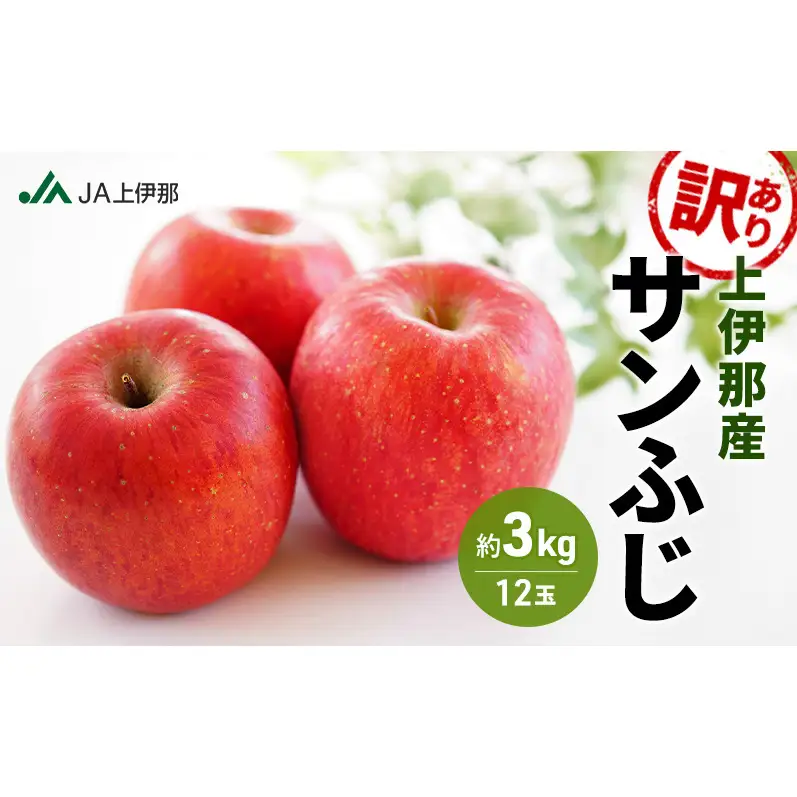 訳あり りんご 長野 リンゴ サンふじ 約3kg （12玉） 産地直送  フルーツ 果物 デザート おやつ 林檎 旬 信州 長野県 長野県産 駒ヶ根市 上伊那産