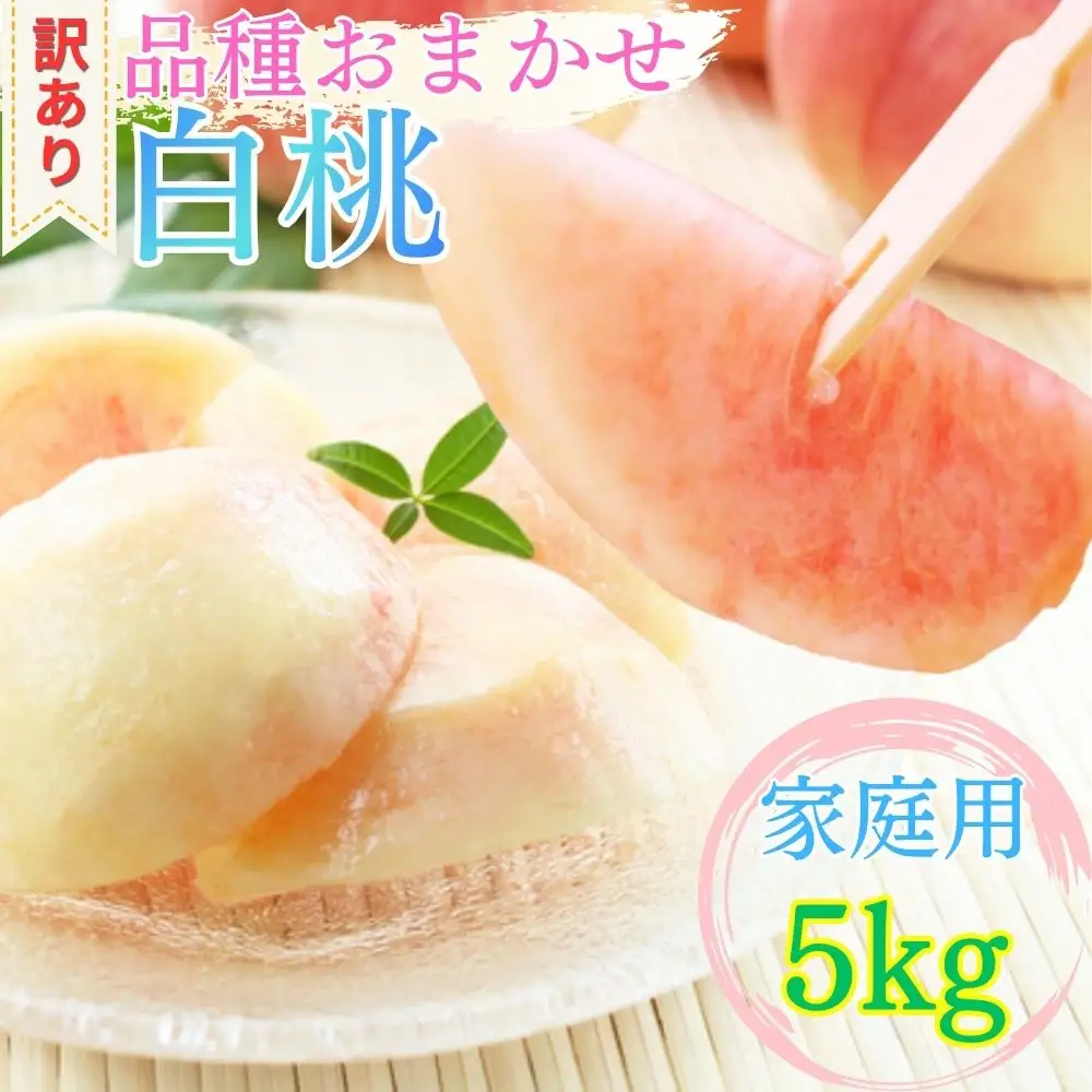 山形県産 白桃 ご家庭用 5kg （12玉～25玉）【2026年8月上旬から9月中旬発送】 山形県 果物 フルーツ 桃 モモ もも 夏 送料無料