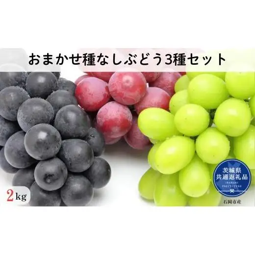【先行予約】開田ぶどう園　おまかせ種なしぶどう3種セット　2kg（茨城県共通返礼品・石岡市産） ／  ぶどう 葡萄 ブドウ 果物 フルーツ 食べ比べ セット