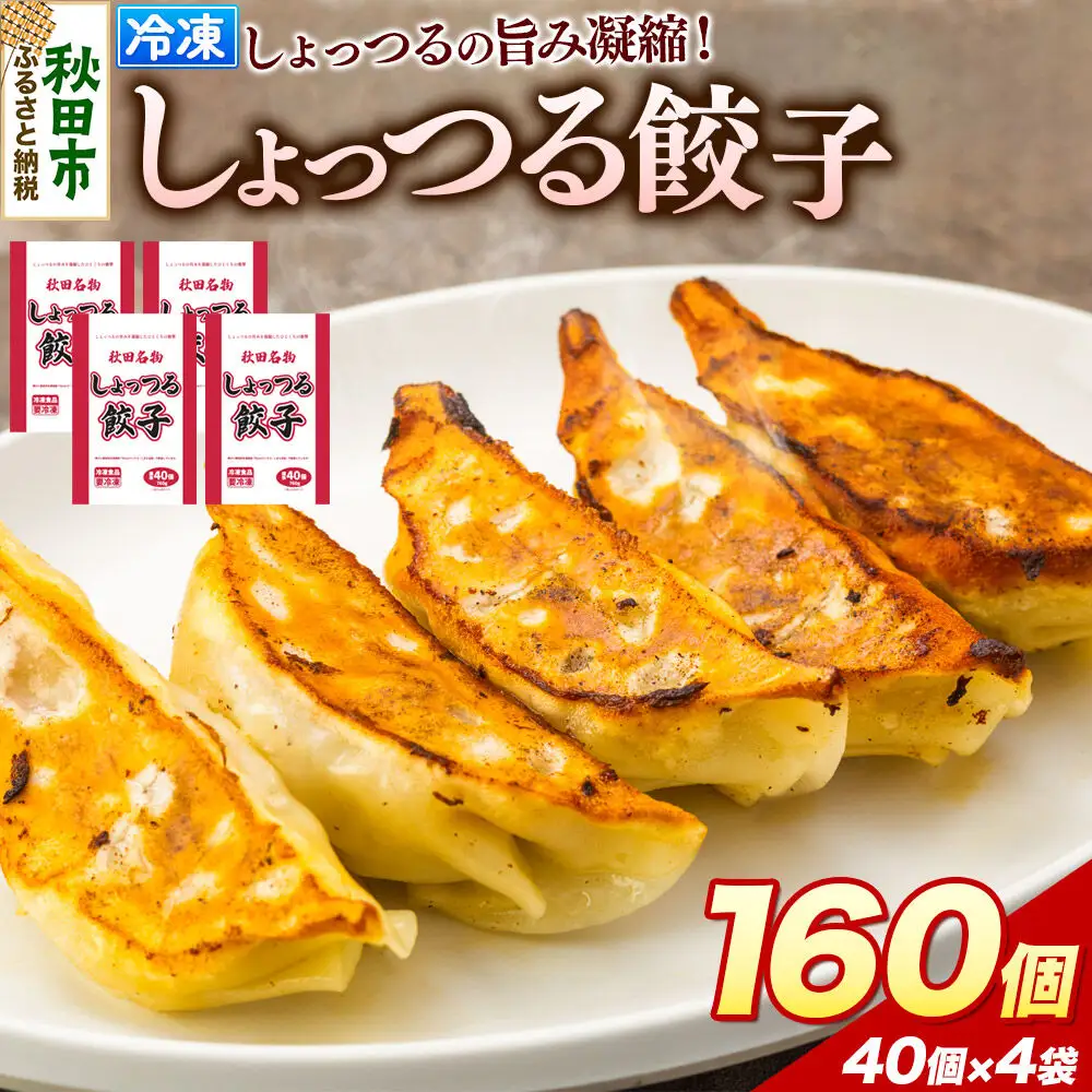 秋田名物 しょっつる餃子 40個入×4袋 秋田のしょっつるを使用 秋田県 秋田市 冷凍発送 生ぎょうざ