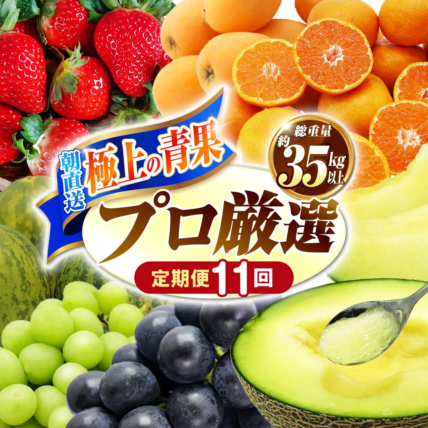 【11回コース】果物屋が選ぶ旬のフルーツ定期便 いちご メロン びわ みかん 梨 柿 など / 南島原市 / 贅沢宝庫[SDZ063]