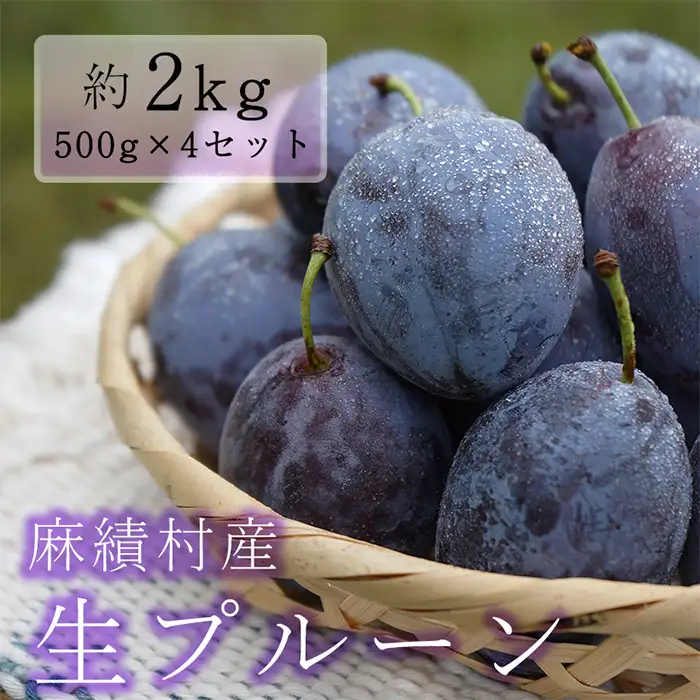 【2026年予約】信州 麻績村産 生プルーン 約 2kg 500g × 4パック フルーツ 果物 プルーン 産地直送 予約 麻績村 新返礼品 令和8年 収穫分 9月発送 9月上旬 9月中旬 受付 発送