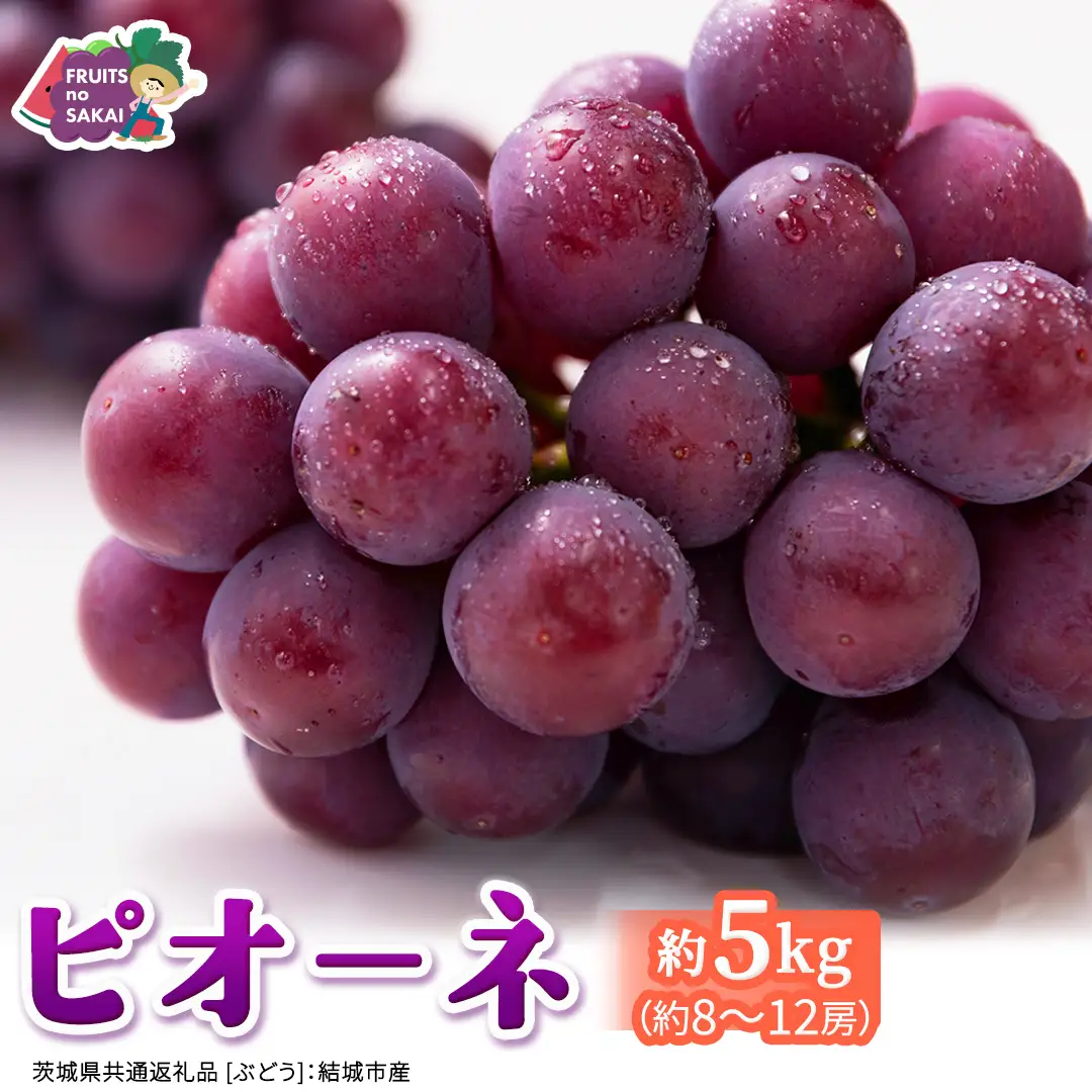 ピオーネ 約5kg （約8～12房）【2026年8月より発送開始】（茨城県共通返礼品 [ぶどう]：結城市産）