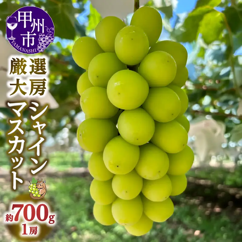 厳選大房シャインマスカット 1房 約700g【2026年発送】（SSE）C2-1840-1 シャインマスカット フルーツ