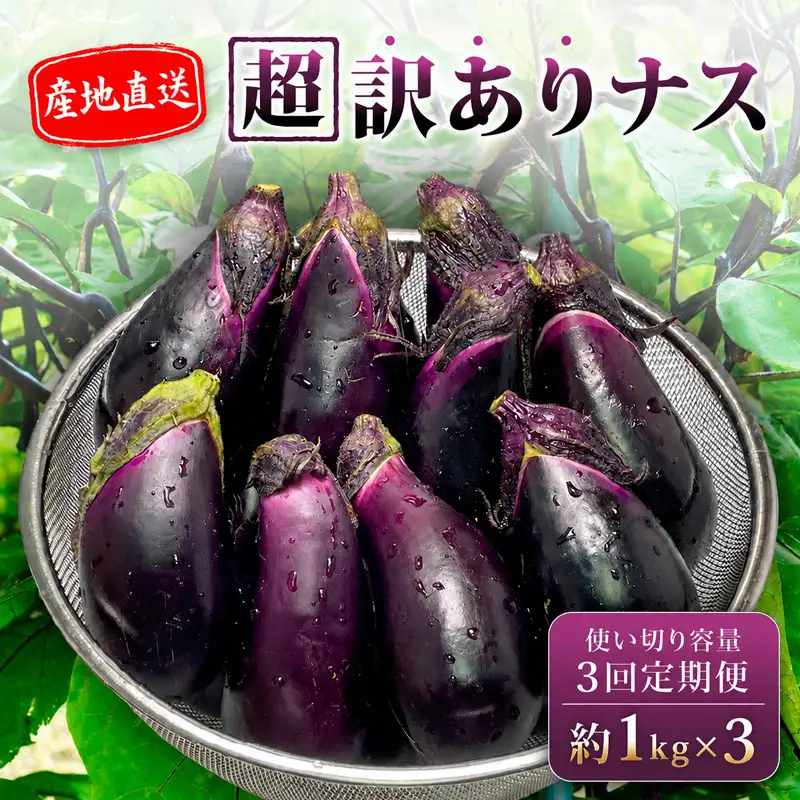 【先行受付】 【3回定期】 安田町産 「超」 訳あり ナス なす なすび 1kg×3回 YM-1100