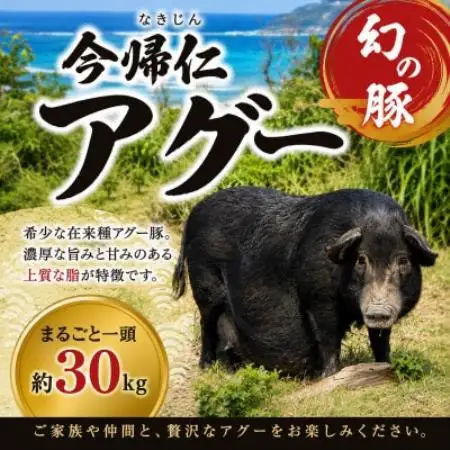 幻の豚 今帰仁アグー まるごと一頭(約30kg)【1756802】