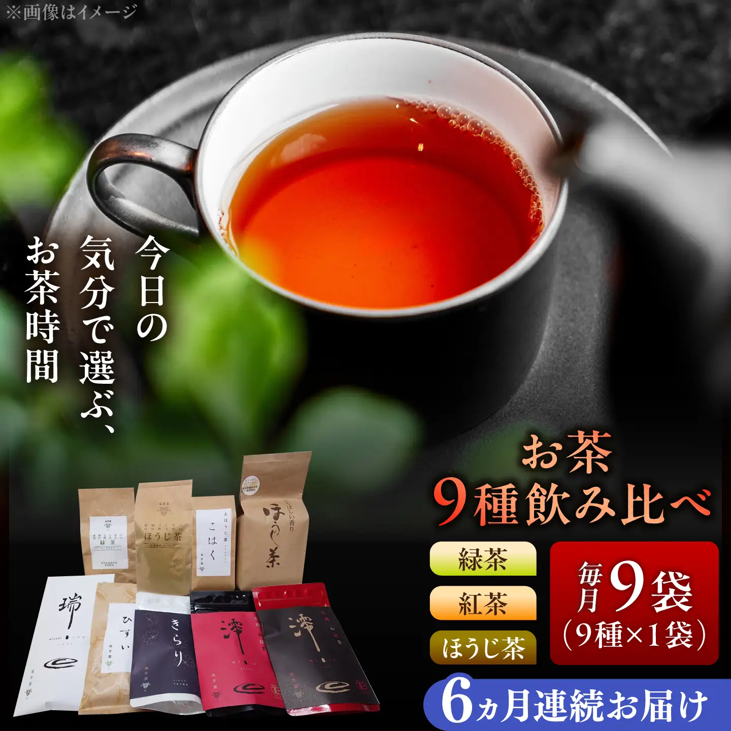 【6回定期便】 【岐阜県瑞浪市産】 お茶飲み比べセット 9種類 緑茶・ほうじ茶・紅茶 瑞浪市 / 成瀬農場 瑞芳園 国産 お茶[AZBP032]