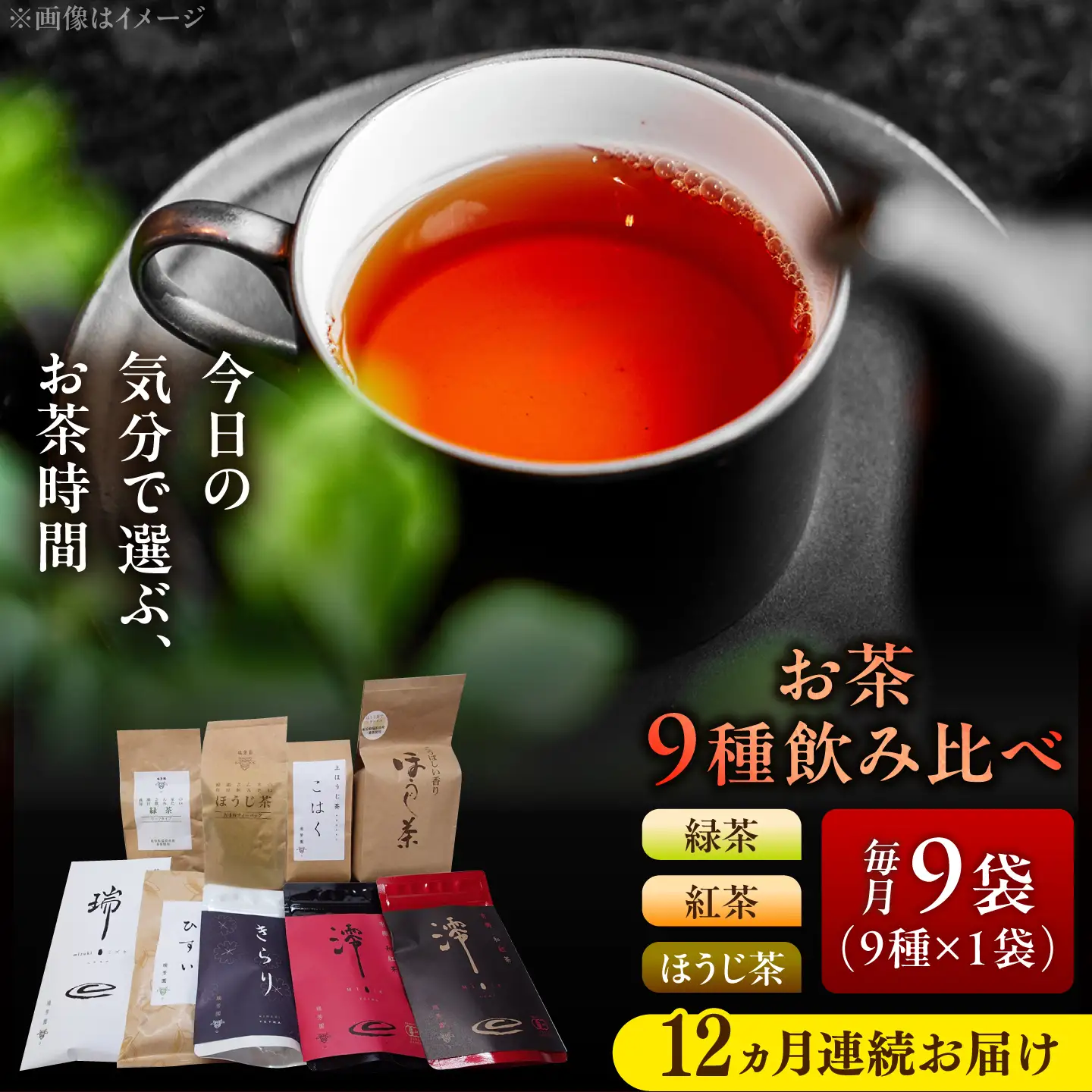 【12回定期便】 【岐阜県瑞浪市産】 お茶飲み比べセット 9種類 緑茶・ほうじ茶・紅茶 瑞浪市 / 成瀬農場 瑞芳園 国産 お茶[AZBP033]