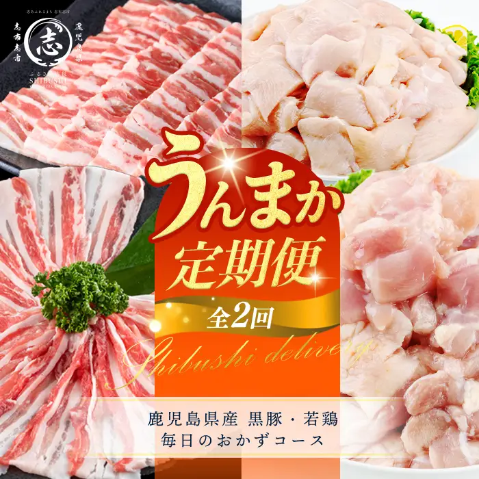 【定期便全2回】鹿児島県産 黒豚・若鶏 毎日のおかずコース！志布志うんまか定期便 国産 豚肉 肉 黒豚 バラ バラ肉 スライス しゃぶしゃぶ 焼肉 鶏肉 とり肉 鳥肉 鶏もも肉 鶏ムネ肉 若鶏 バラエティ セット t0031-004