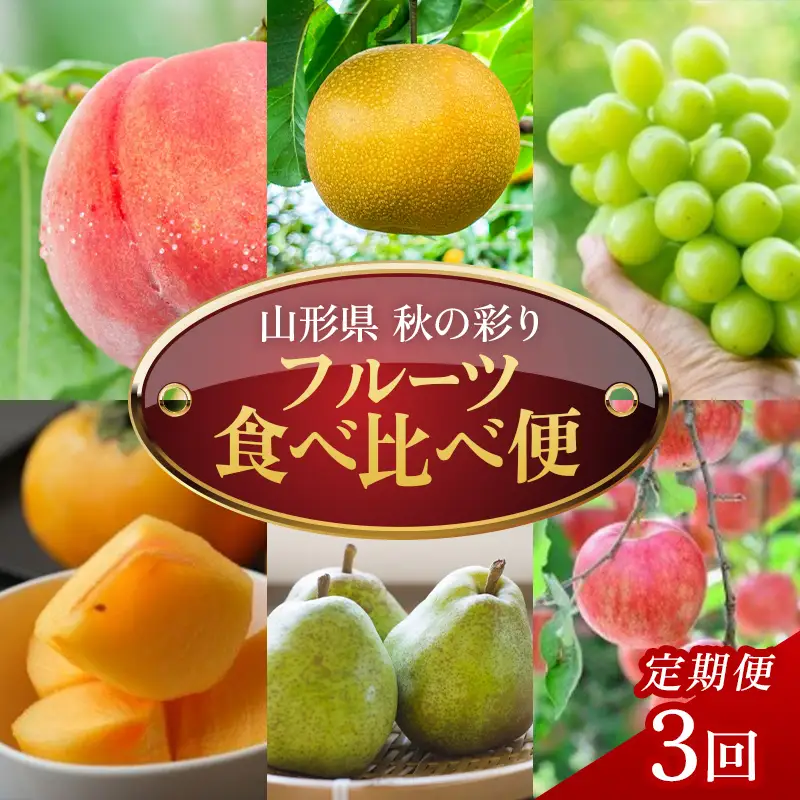 【定期便3回】秋の彩りフルーツ食べ比べ便 FSY-2767