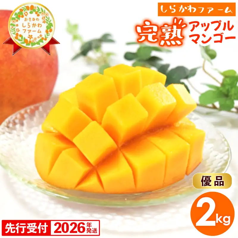 【2026年発送】しらかわファームのアップルマンゴー 優品 約2kg （3～5玉）- 沖縄 産地直送 南国フルーツ 旬の味覚 旬のフルーツ 贈り物 ギフト 沖縄県 八重瀬町