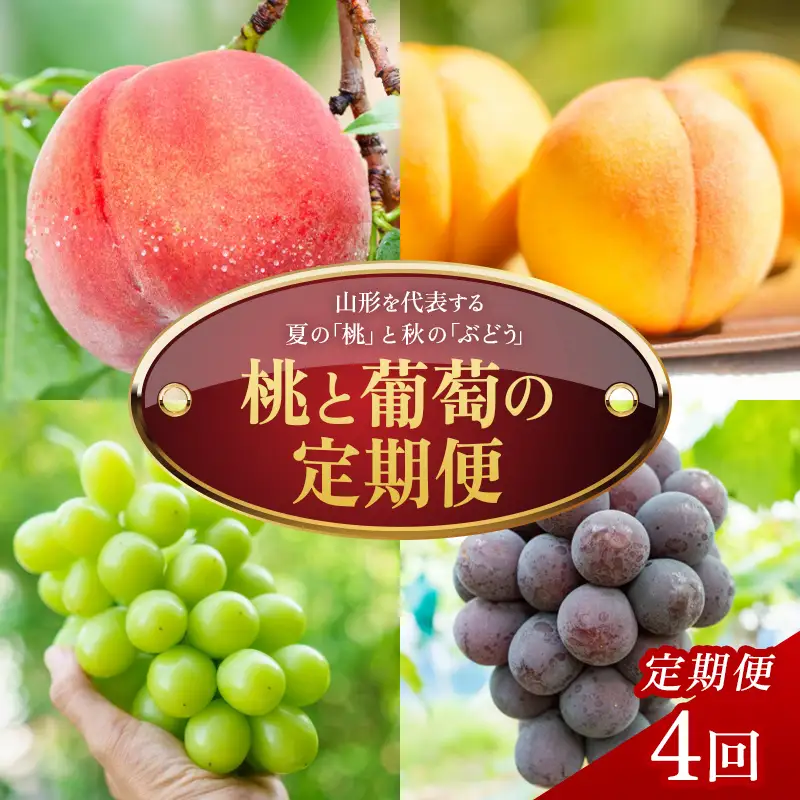 【定期便4回】桃と葡萄の定期便 FSY-2769