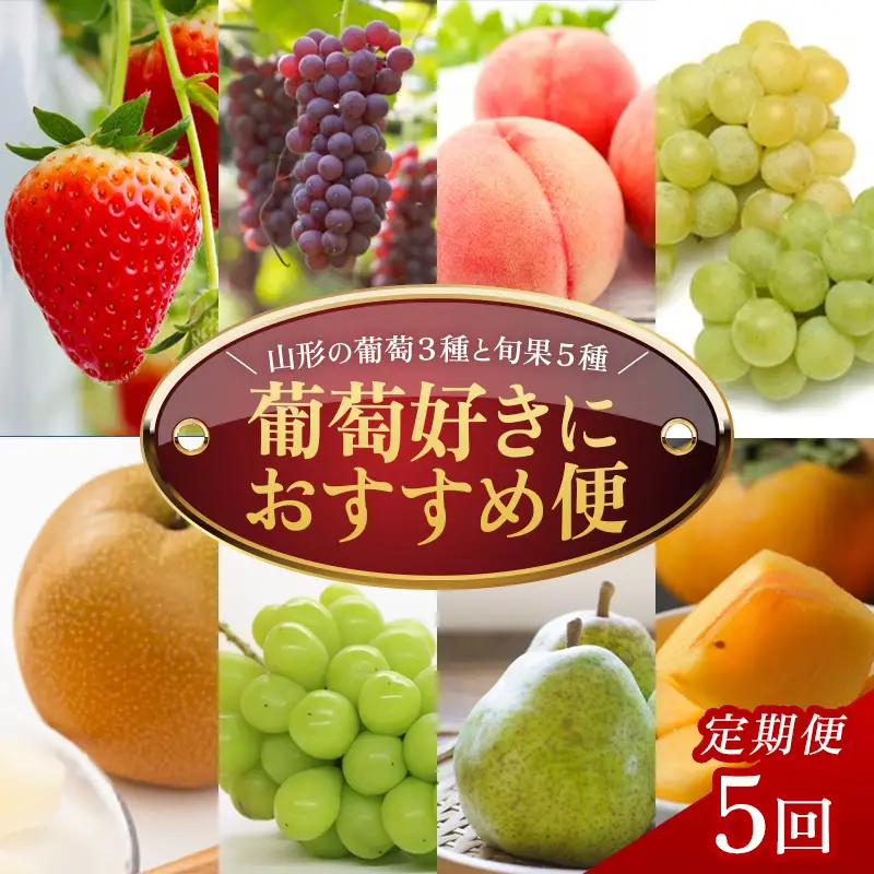 【定期便5回】葡萄好きにおすすめ便 FSY-2770