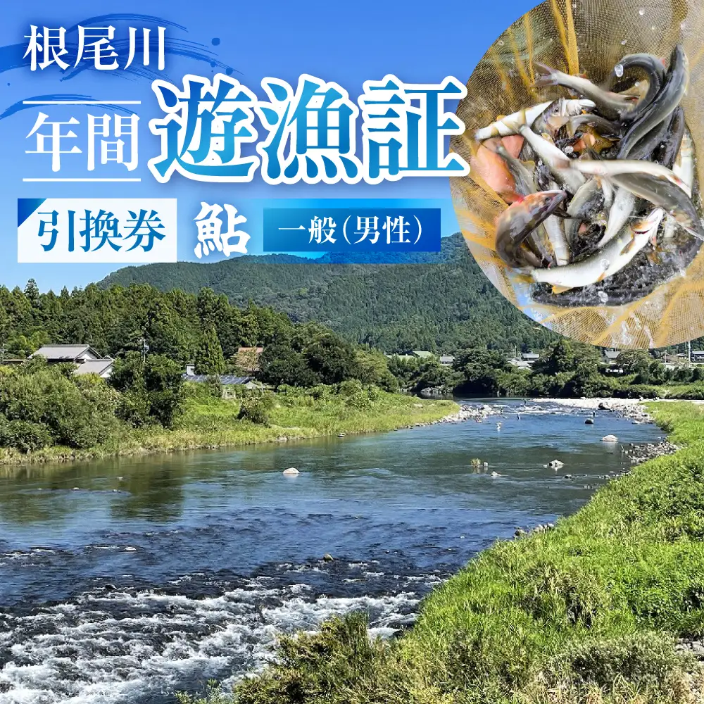 【一般（男性） あゆ 年間遊漁証引換券（令和８年シーズン用）】 釣り あゆ 鮎 あゆ釣り 鮎釣り 年間遊漁証引換券 年券 チケット 引換券 根尾川筋漁業協同組