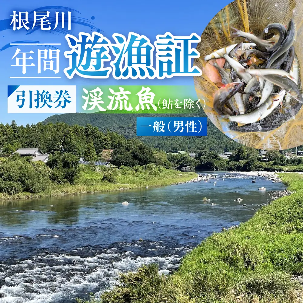 【一般（男性） 渓流魚（鮎を除く）年間遊漁証引換券（令和８年シーズン用）】 釣り 渓流魚 魚 さかな釣り 魚釣り 年間遊漁証引換券 年券 チケット 引換券 根尾川筋漁業協同組