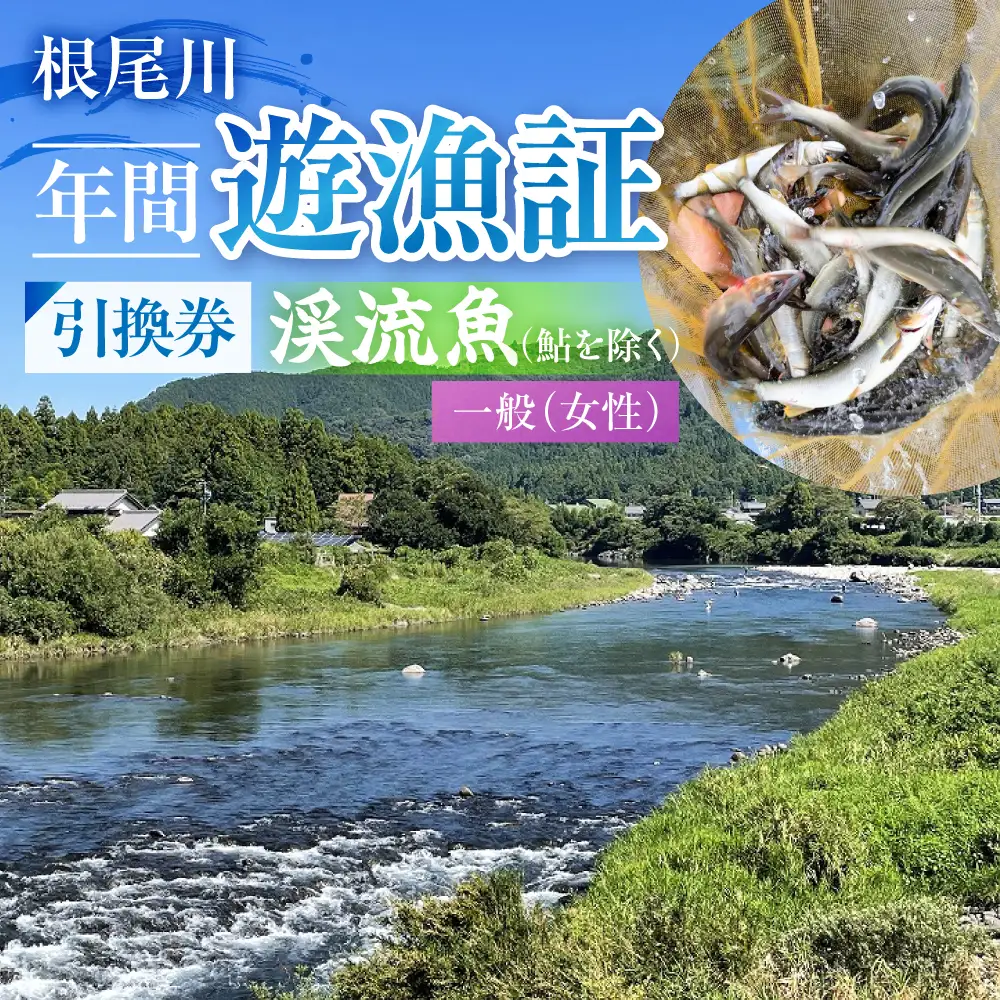 【一般（女性） 渓流魚（鮎を除く）年間遊漁証引換券（令和８年シーズン用）】 釣り 渓流魚 魚 さかな釣り 魚釣り 年間遊漁証引換券 年券 チケット 引換券 根尾川筋漁業協同組
