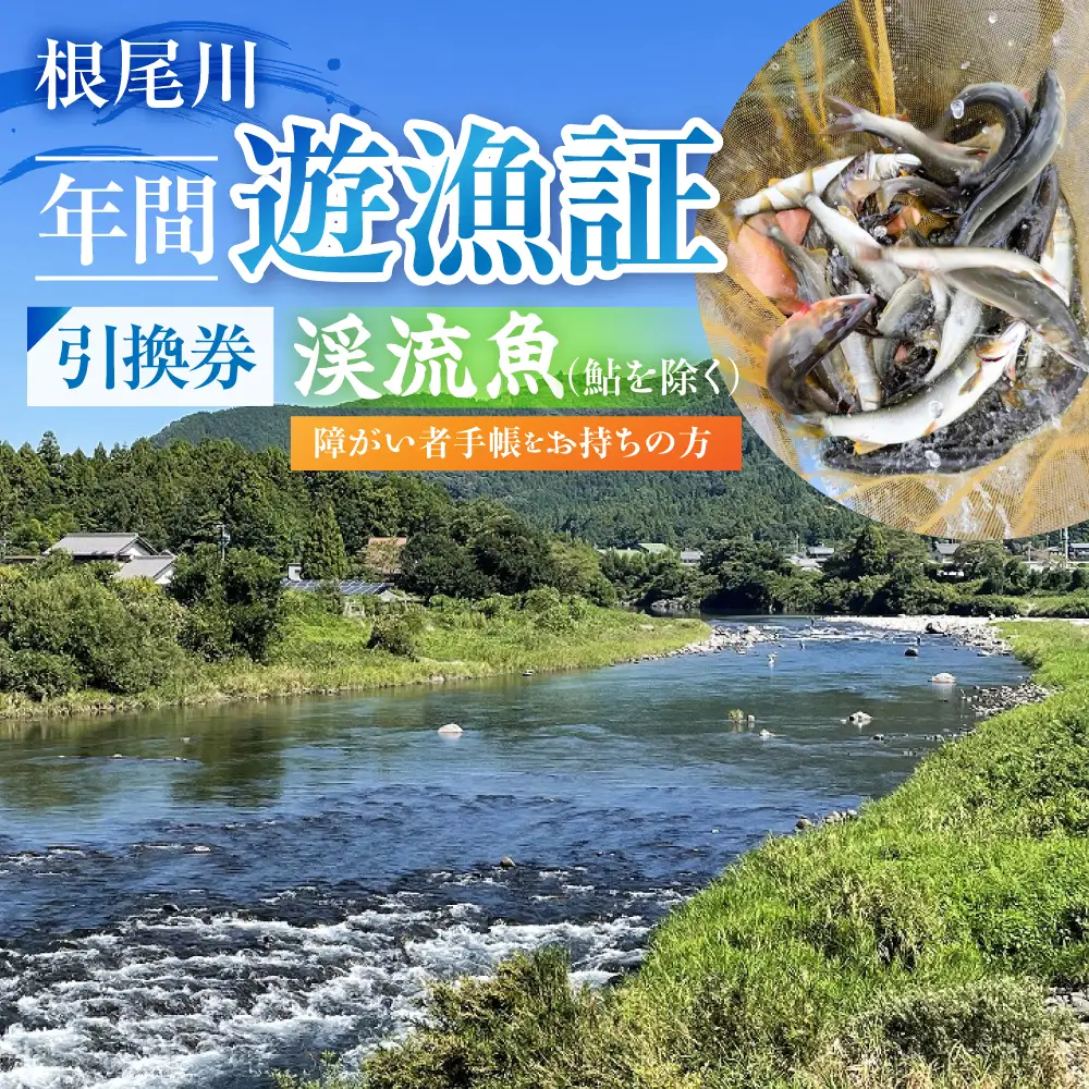 【障がい者手帳をお持ちの方　渓流魚（鮎を除く）年間遊漁証引換券（令和８年シーズン用）】 釣り 渓流魚 魚 さかな釣り 魚釣り 年間遊漁証引換券 年券 チケット 引換券 根尾川筋漁業協同組