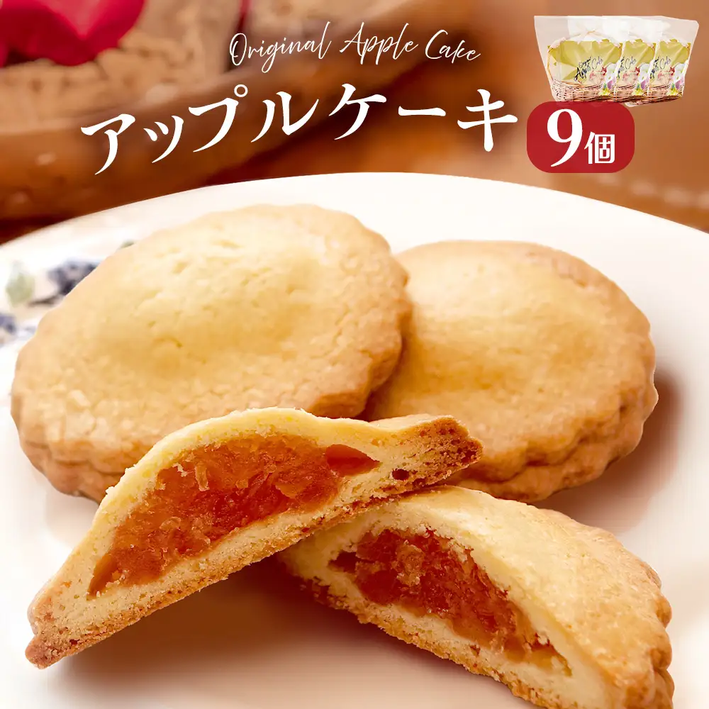 藤原吉福堂 アップルケーキ 9個 （ 3個入 × 3セット ） 大分県玖珠町 焼き菓子 アップルケーキ 洋菓子 手作り 老舗 お取り寄せ 国産 贈答 りんご ケーキ スイーツ お菓子
