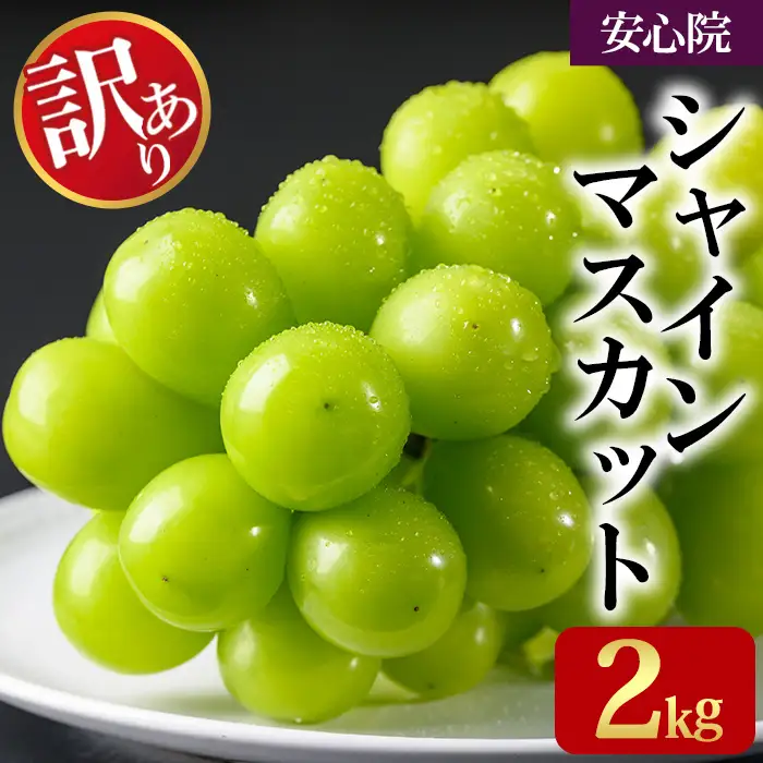 ＜訳あり＞シャインマスカット(青秀) (約2kg) ＜先行予約受付中！2026年8月下旬から順次発送予定＞ ＜北海道 沖縄 離島配送不可＞ぶどう 葡萄 フルーツ 青秀 【106301400】【大分県農業協同組合 北部エリア】