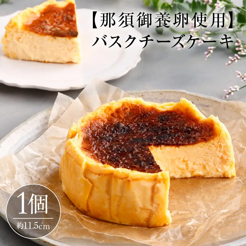 バスクチーズケーキ 【ns002-026】