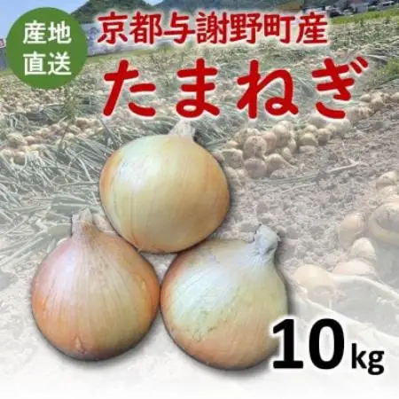 【期間限定】 玉ねぎ 約10kg　京都与謝野町のこだわり栽培たまねぎ　【AGRIST】【1754650】