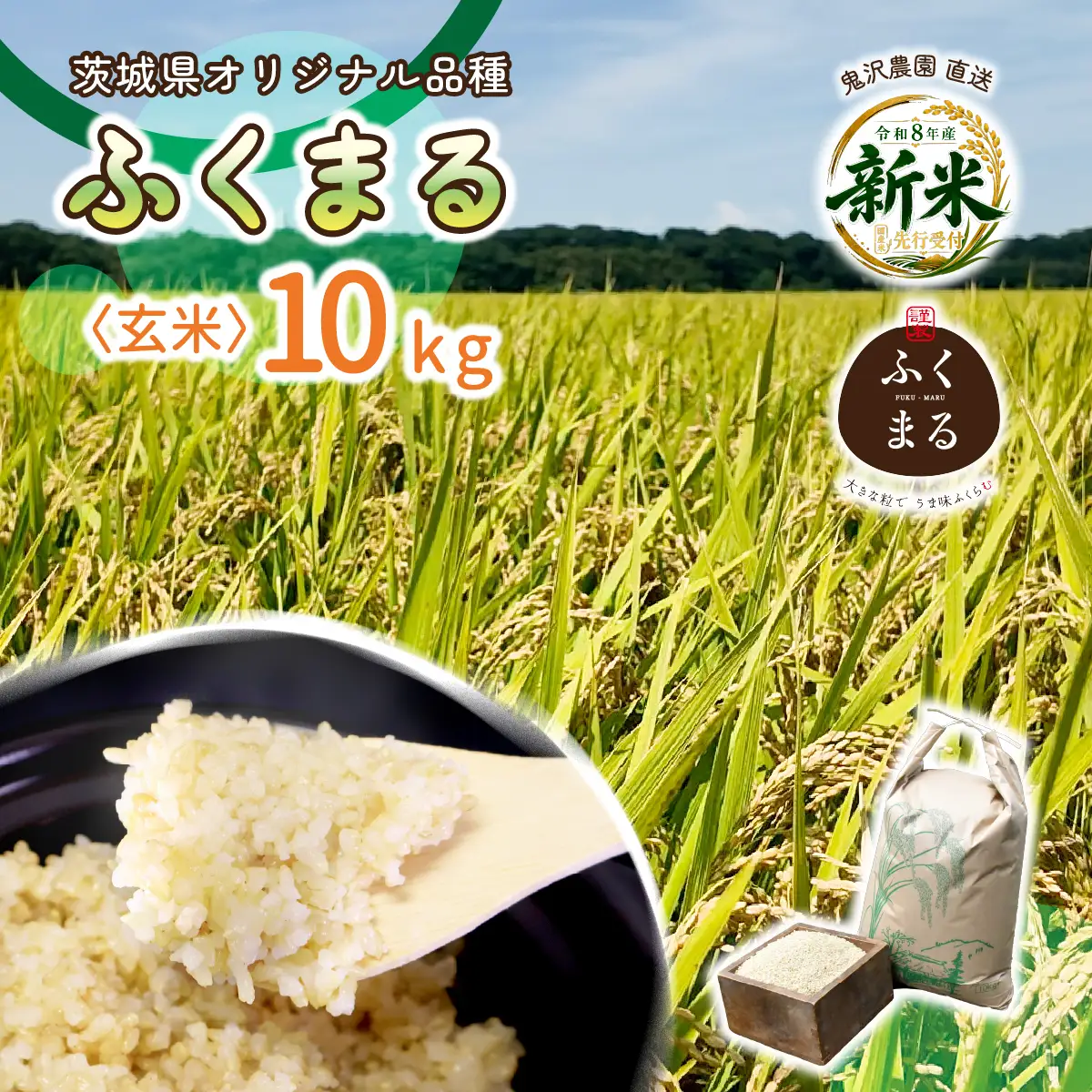 食品 玄米10kg