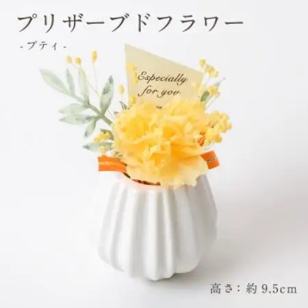 プリザーブドフラワーアレンジ 【プティ カーネーション(イエロー)】【1752046】
