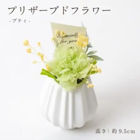 プリザーブドフラワーアレンジ 【プティ カーネーション(グリーン)】【1752066】