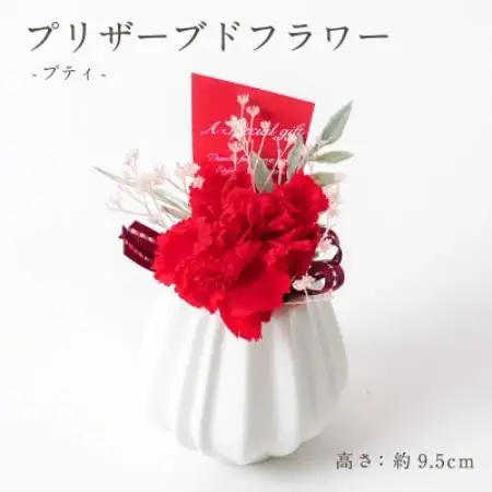 プリザーブドフラワーアレンジ 【プティ カーネーション(レッド)】【1753205】