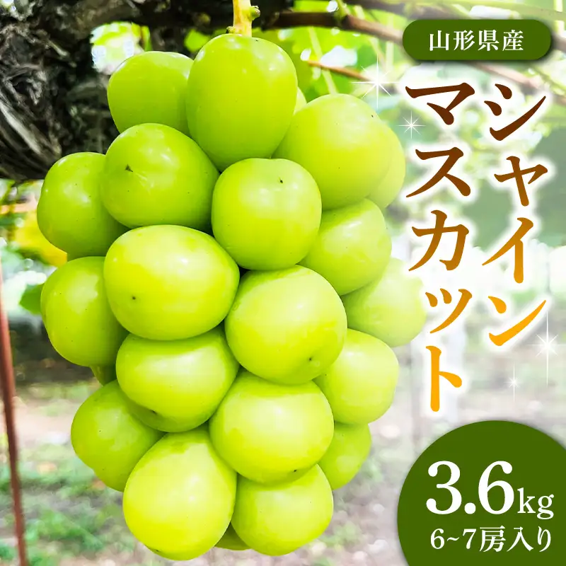 シャインマスカット3.6kg（6-7房） FSY-2878