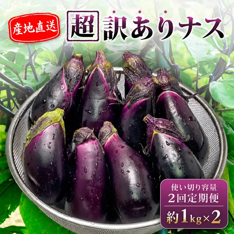【先行受付】 【2回定期】 安田町産 「超」 訳あり ナス なす なすび 1kg×2回 YM-1000