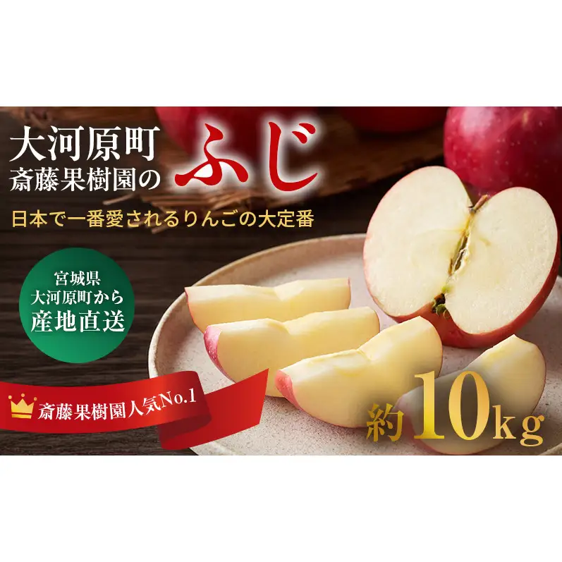 人気No.1 りんご ふじ 10kg 果物 フルーツ 先行予約 単品 定番 宮城県 大河原町 リンゴ 林檎 くだもの 大容量 送料無料