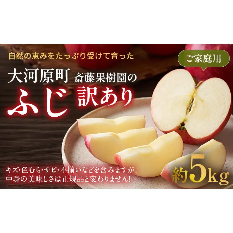 りんご ふじ 訳あり 5kg 果物 フルーツ わけあり 不揃い 規格外 ご家庭用 宮城県 大河原町 産地直送 林檎 リンゴ くだもの 先行予約 送料無料