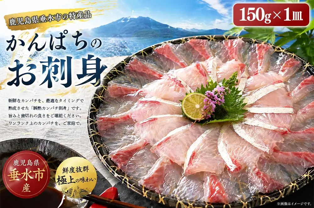 A1-7615／瞬熟かんぱち刺身 1皿（17cm皿・150g）