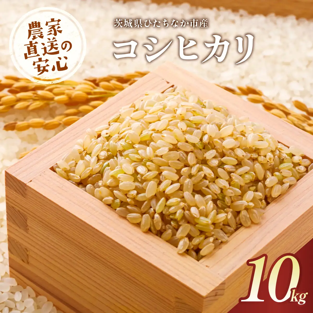 令和8年産】コシヒカリ 玄米 10kg 茨城県ひたちなか市産 | 新米 令和8