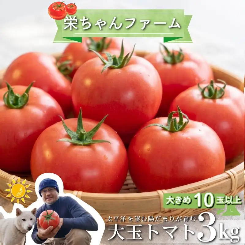 【2027年2月発送】大玉トマト3kg 大 10玉 以上 トマト