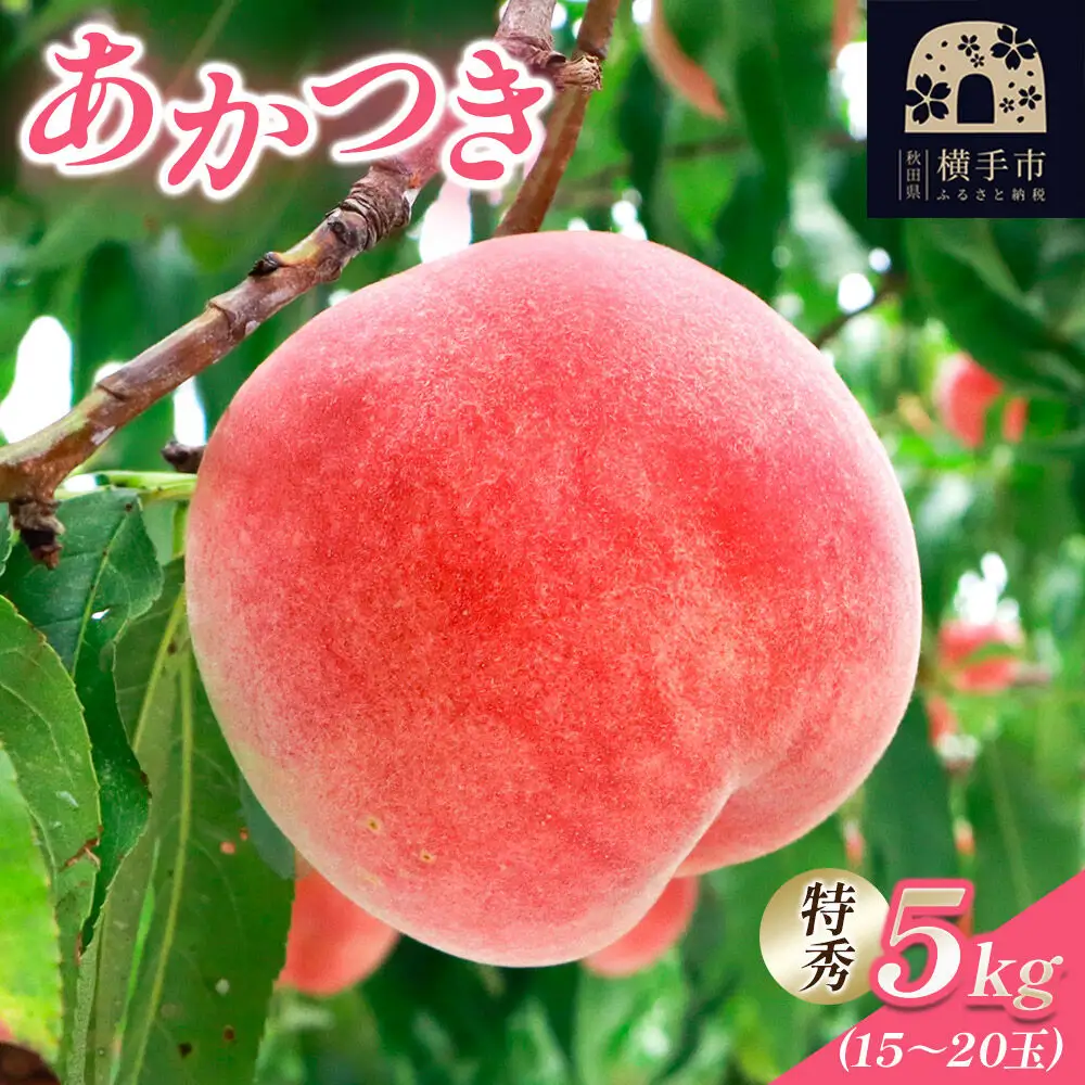 【秋田県横手市産】 白桃 約5kg（あかつき）特秀 15～20玉 桃